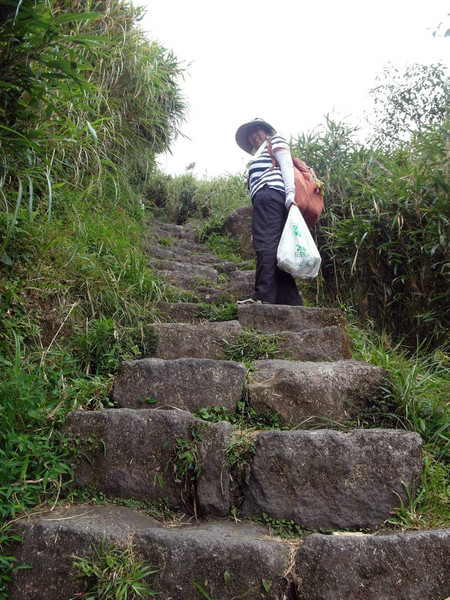 台北自助游圖片