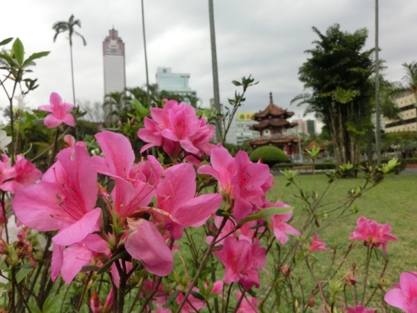 台北景點圖片