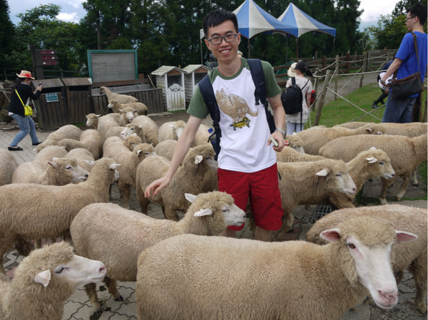 台灣旅游攻略圖片