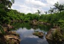 雷瓊地質公園(火山群世界地質公園)