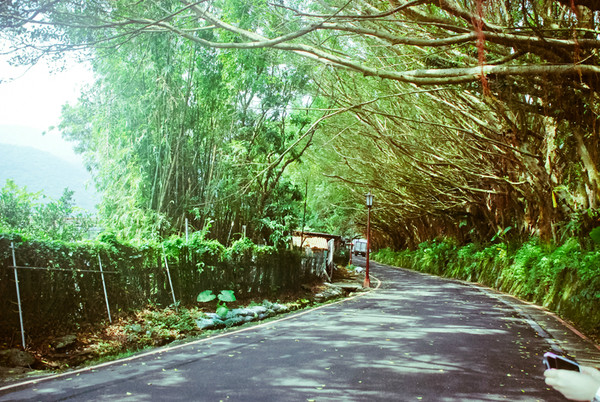 台北旅游攻略圖片