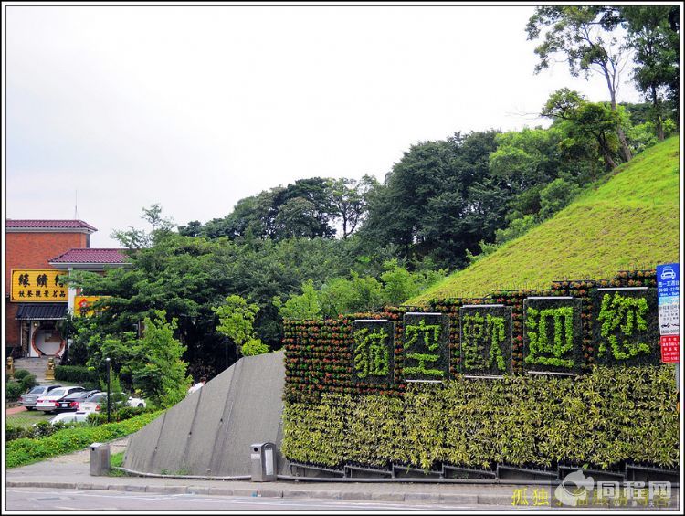 （小貓原創）台灣自由行--在貓空上看台北  