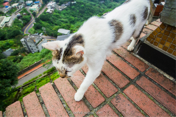 台灣景點圖片