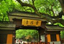 靈隱禅蹤(靈隱寺)