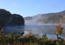 天橋溝森林公園