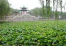 新蕾公園