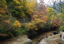 黎坪國家級森林公園