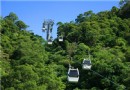 搭乘「貓空纜車」，欣賞台北美景