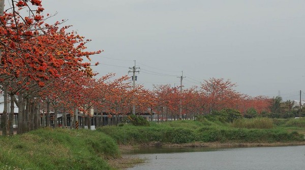 台南旅游攻略圖片