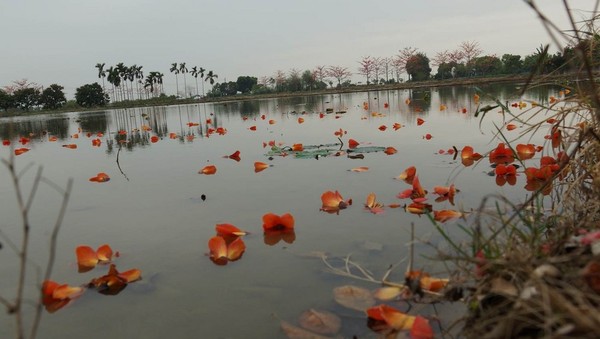 台南景點圖片