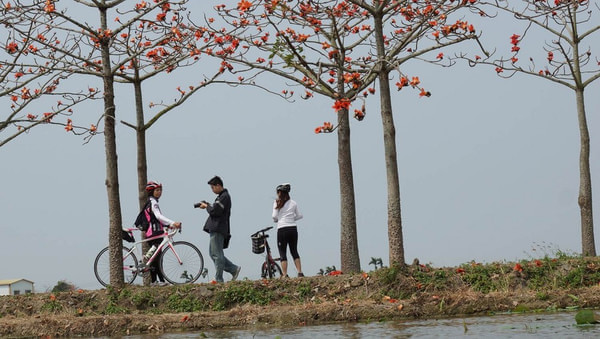 台南旅游攻略圖片