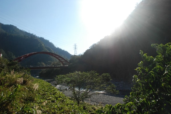 台中自助游圖片