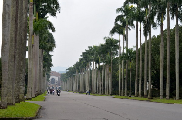 台灣旅游攻略圖片