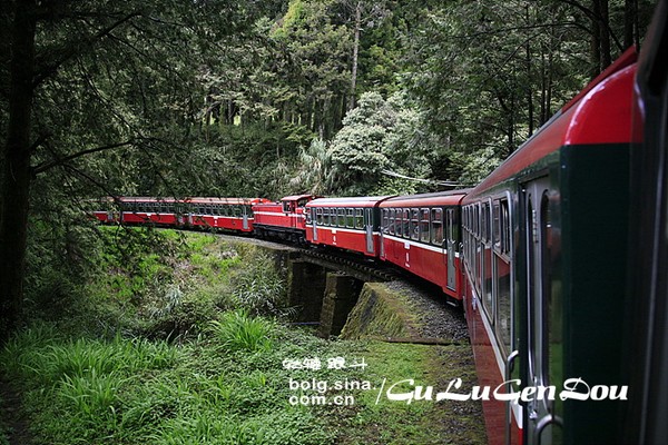 阿裡山景點圖片