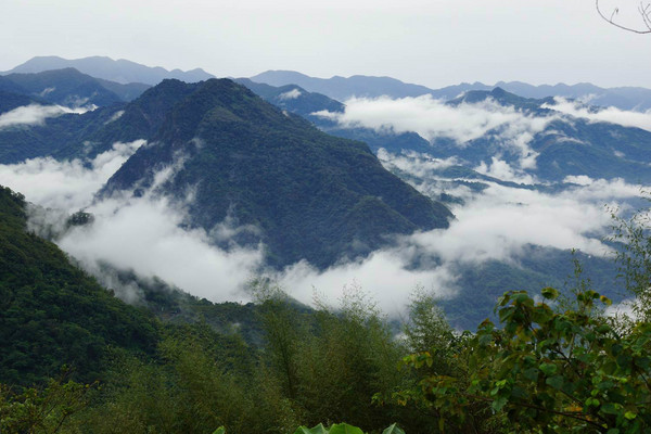 阿裡山旅游攻略圖片