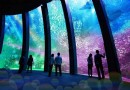 【機捷攻略】 日本最大水族館進駐桃園 ！ 機場捷運沿線怎麼玩？