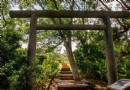 台灣日治神社遺址 花蓮鳥居裡隱藏的秘境