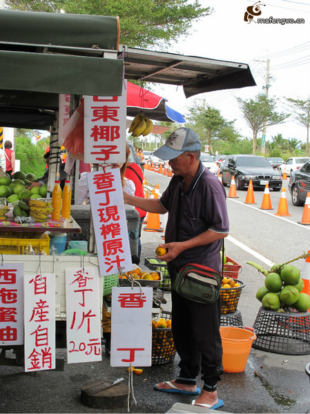 花蓮自助游圖片