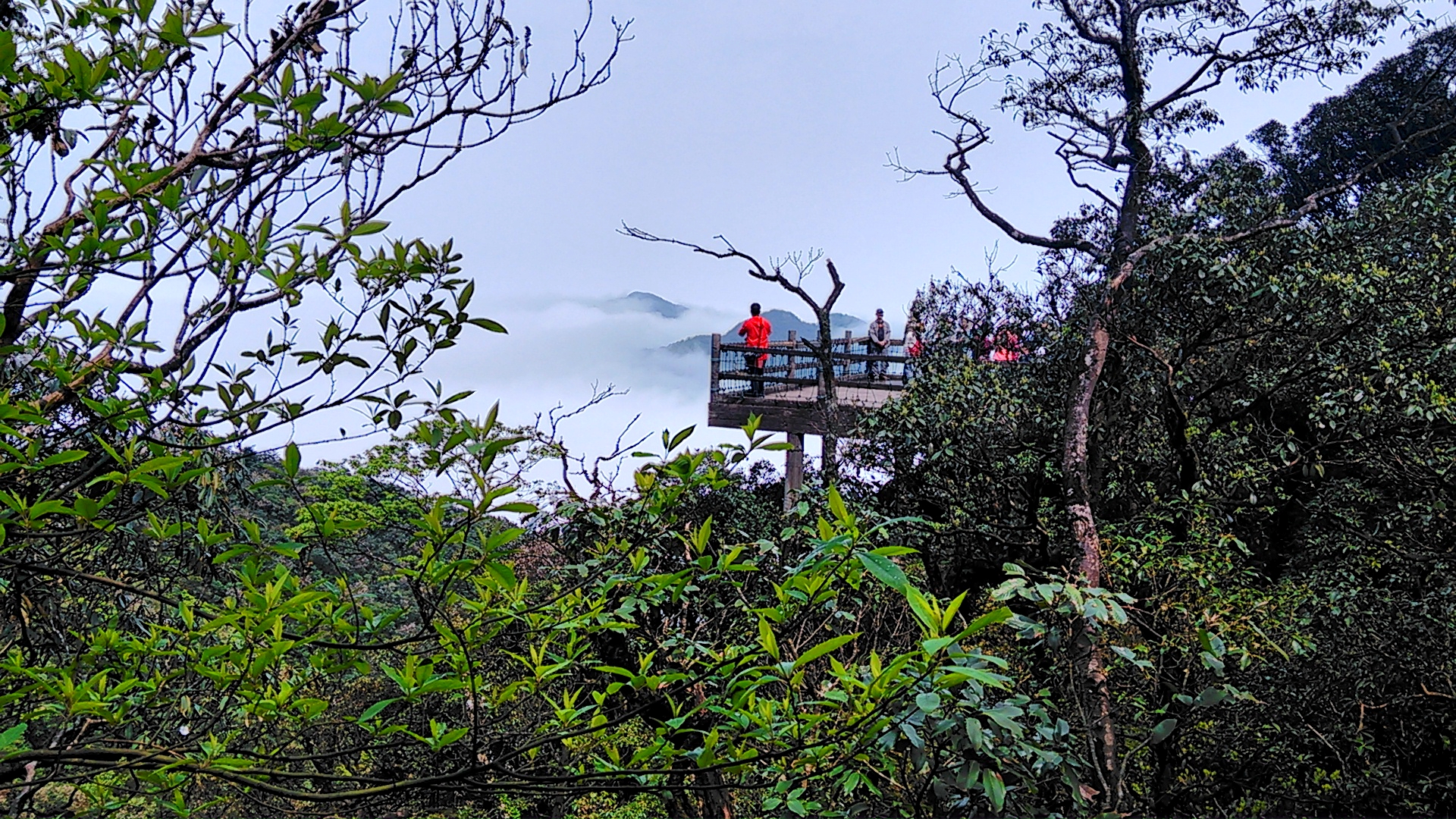 崖子石景區圖片_崖子石景區景點旅遊攻略_崖子石景區自助遊介紹-郴州