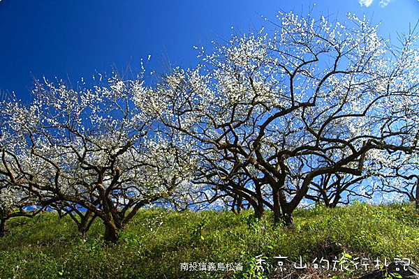 南投景點圖片