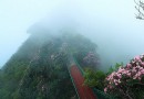 光霧山桃園景區