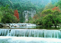 黃水國家森林公園