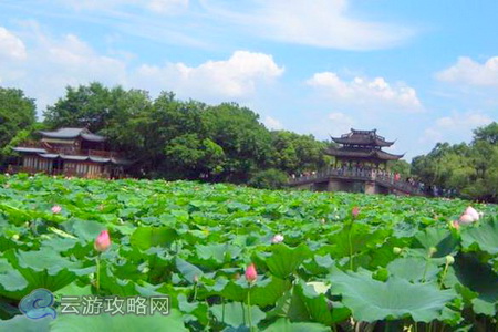 2017，帶著夢想去浙江