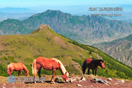 北京門頭溝靈山景區