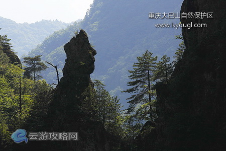 重慶大巴山國家級自然保護區