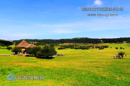 重慶武隆仙女山國家森林公園