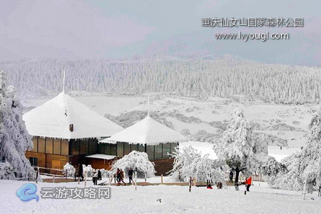 重慶武隆仙女山國家森林公園