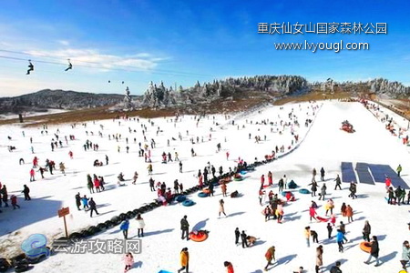 重慶武隆仙女山國家森林公園