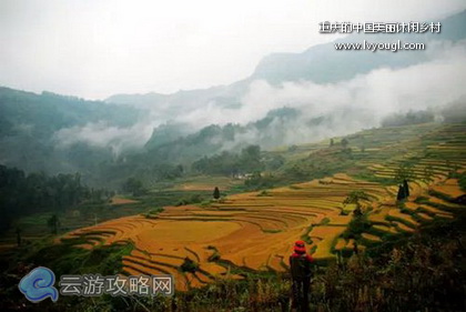 重慶美麗休閒鄉村旅游