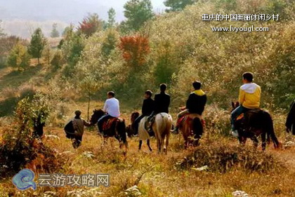 重慶美麗休閒鄉村旅游