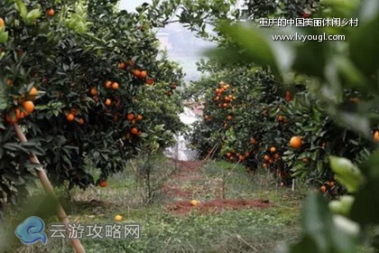 重慶美麗休閒鄉村旅游