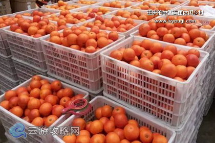 重慶美麗休閒鄉村旅游