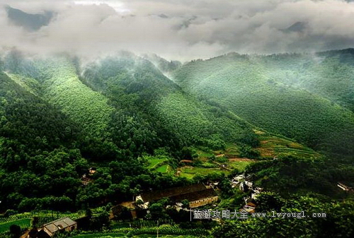 大巴山國家級自然保護區