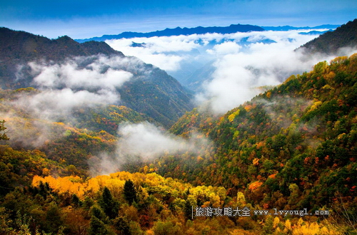 重慶城口中國亢谷風景區