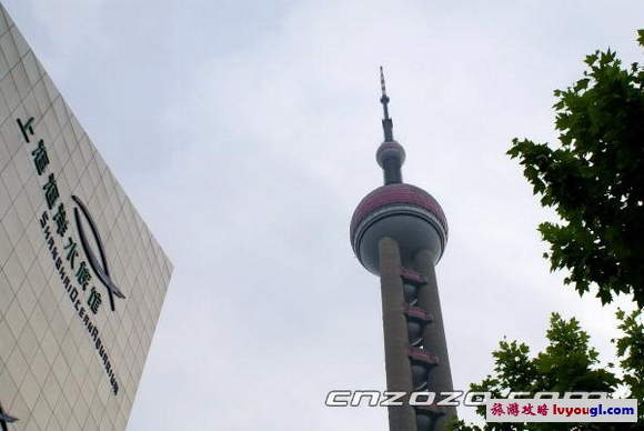 上海海洋水族館