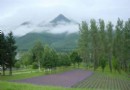 金山衛日軍登陸處