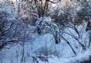 黃安壩高山牧場