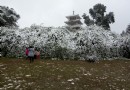 雙橋公園