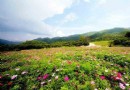 紅池壩高山草場