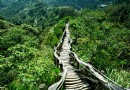 大坑登山步道