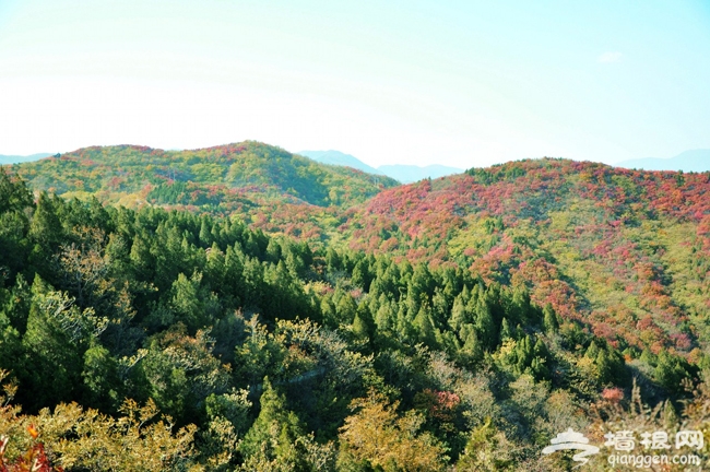 7、百望山秋色。來源：北京旅游網