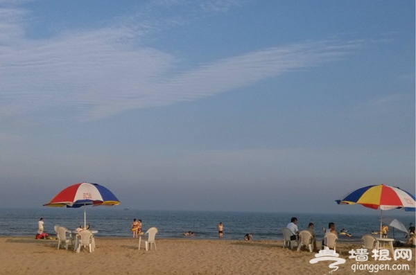 暑假一起盛夏聽濤 盡享海濱夏日風情