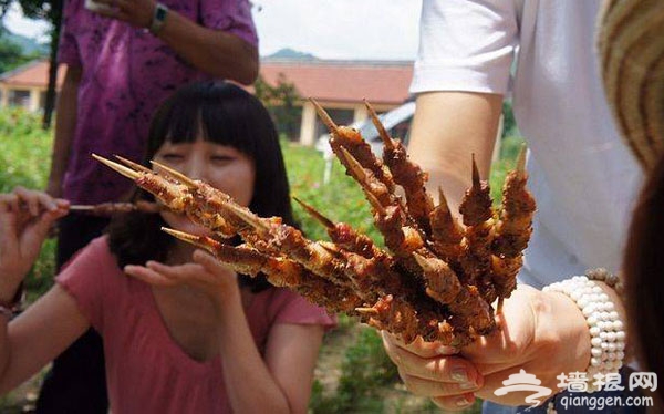 懷柔月牙灣薰衣草莊園 京郊的紫色天堂