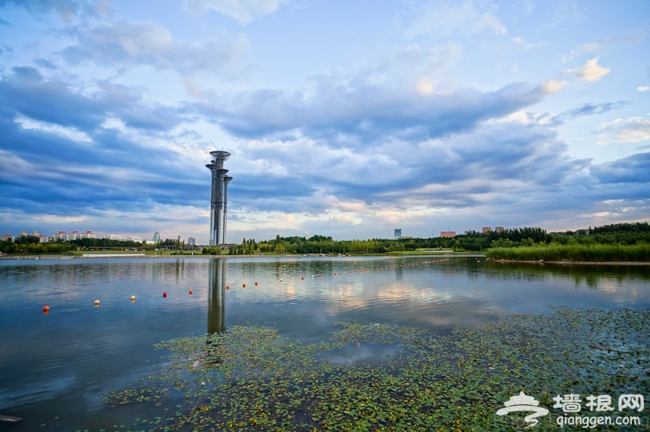 2014夏日清涼去哪玩 北京奧林匹克森林公園