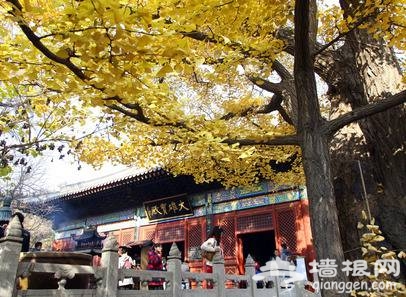 北京端午節祈福好去處 周邊古寺進香游玩指南(圖)