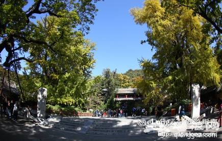 北京端午節祈福好去處 周邊古寺進香游玩指南(圖)